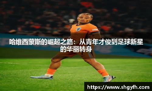 BB贝博艾弗森体育