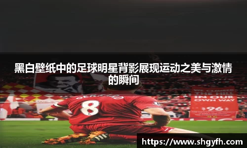 BB贝博艾弗森体育