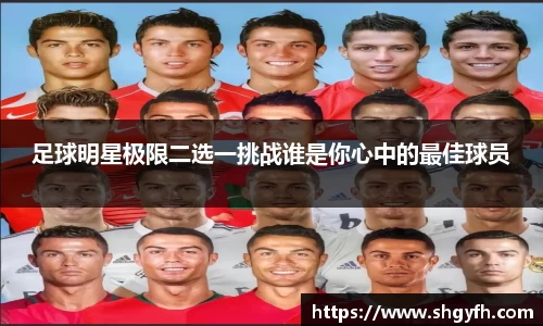 BB贝博艾弗森体育