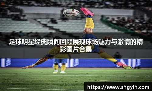 BB贝博艾弗森体育