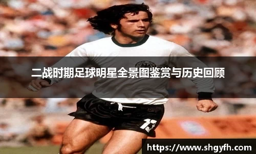 中国·BB贝博艾弗森