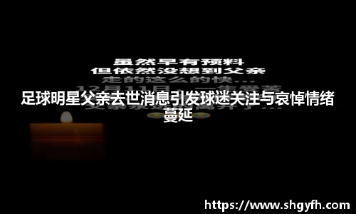 中国·BB贝博艾弗森