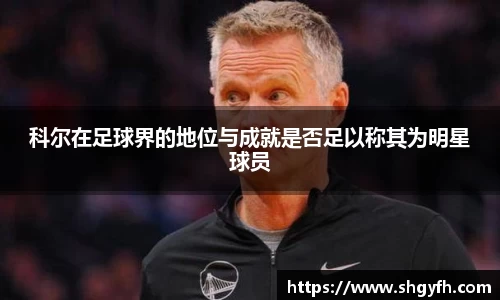 科尔在足球界的地位与成就是否足以称其为明星球员